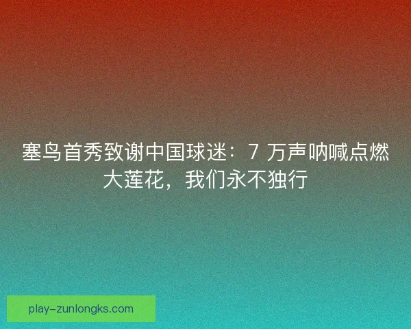 塞鸟首秀致谢中国球迷：7 万声呐喊点燃大莲花，我们永不独行